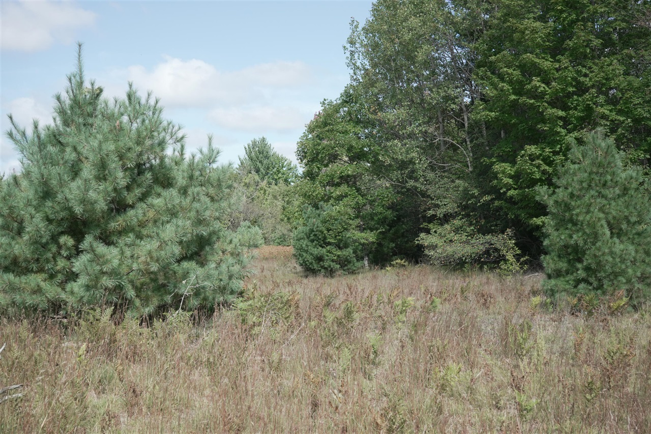 Wood Road Kalkaska, MI 49646 - Photo 4 of 14 Gallery Image 4