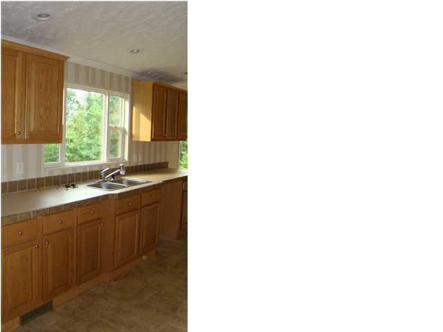 1634 Holloway Ridge Road Spring City, TN 37381 - Photo 14 of 24 Additional Photo