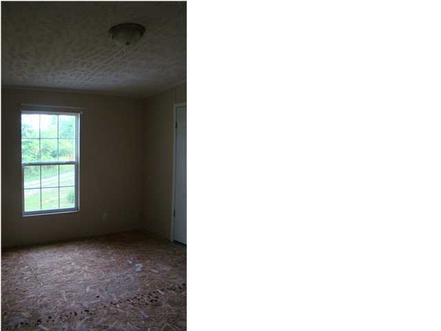 1634 Holloway Ridge Road Spring City, TN 37381 - Photo 22 of 24 Additional Photo