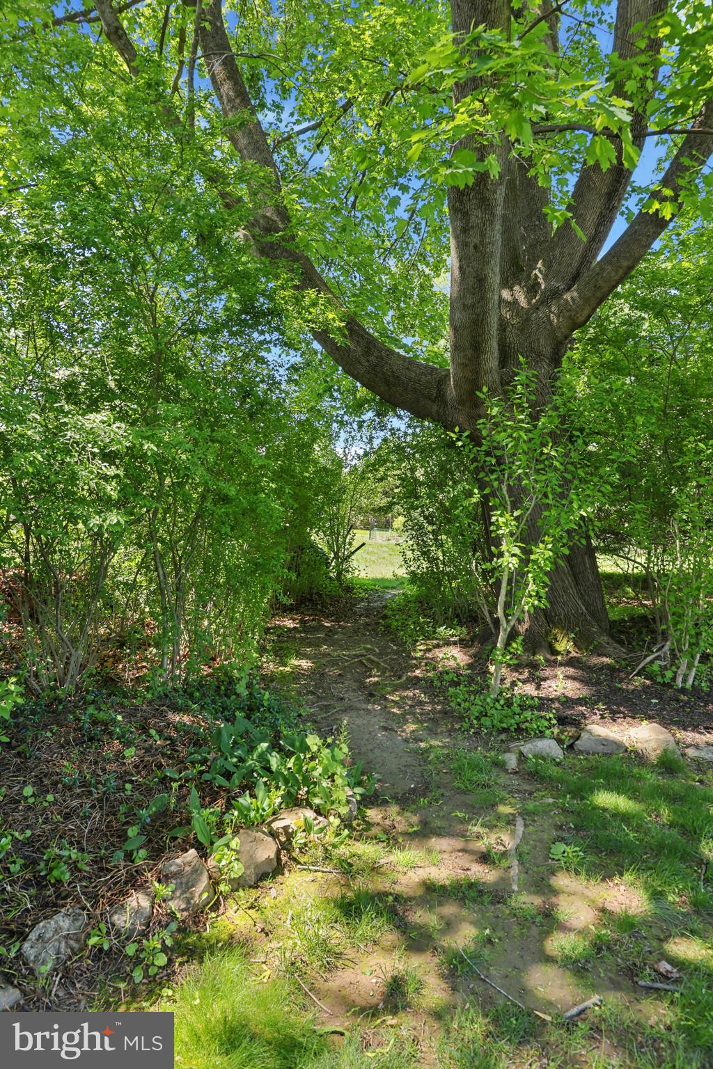 813 West Butler Pike Ambler, PA 19002 - Photo 35 of 36 Gallery Image 35
