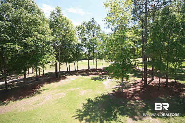 29973 Dolive Ridge Daphne, AL 36527 - Photo 23 of 24 View of Back Yard