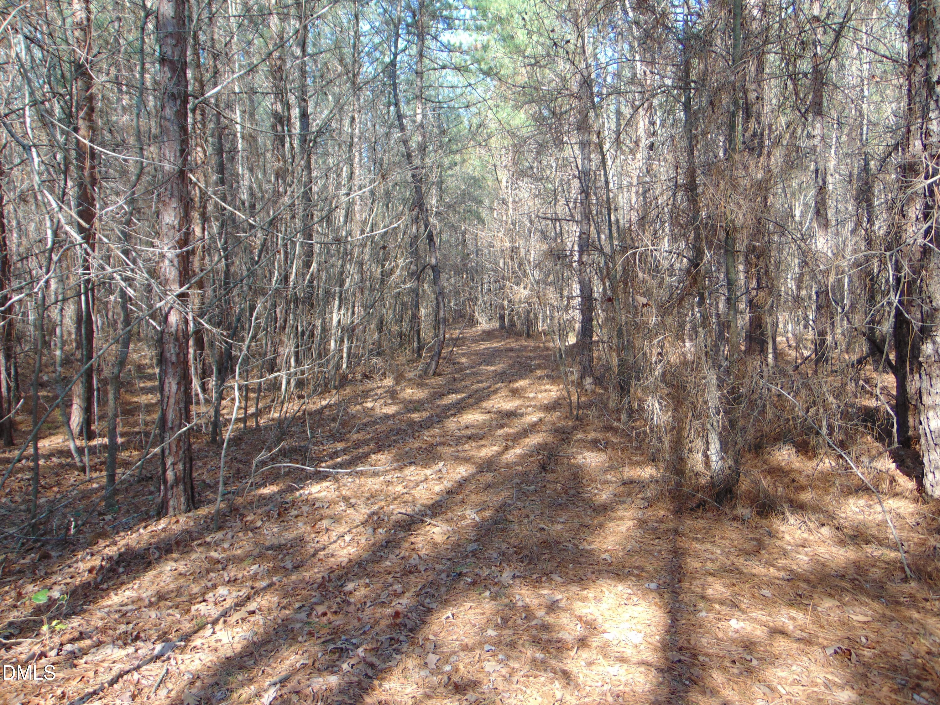 0 Cates Mill Road Roxboro, NC 27574 - Photo 29 of 31 DSC01471