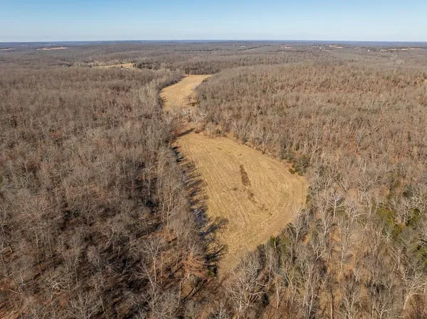 $449,685 | J Hwy Highway, Collins, MO 64738