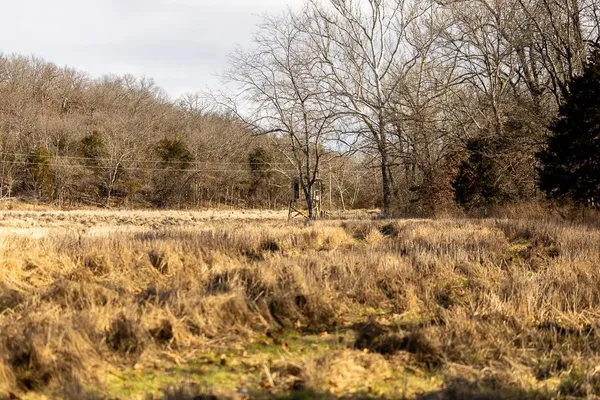 $449,685 | J Hwy Highway, Collins, MO 64738