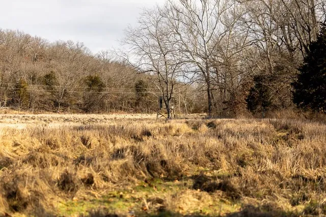 $449,685 | J Hwy Highway, Collins, MO 64738