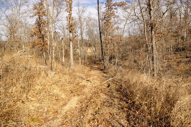 $449,685 | J Hwy Highway, Collins, MO 64738