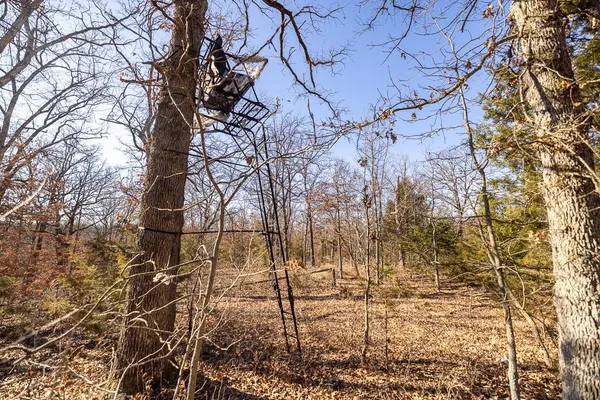 $449,685 | J Hwy Highway, Collins, MO 64738