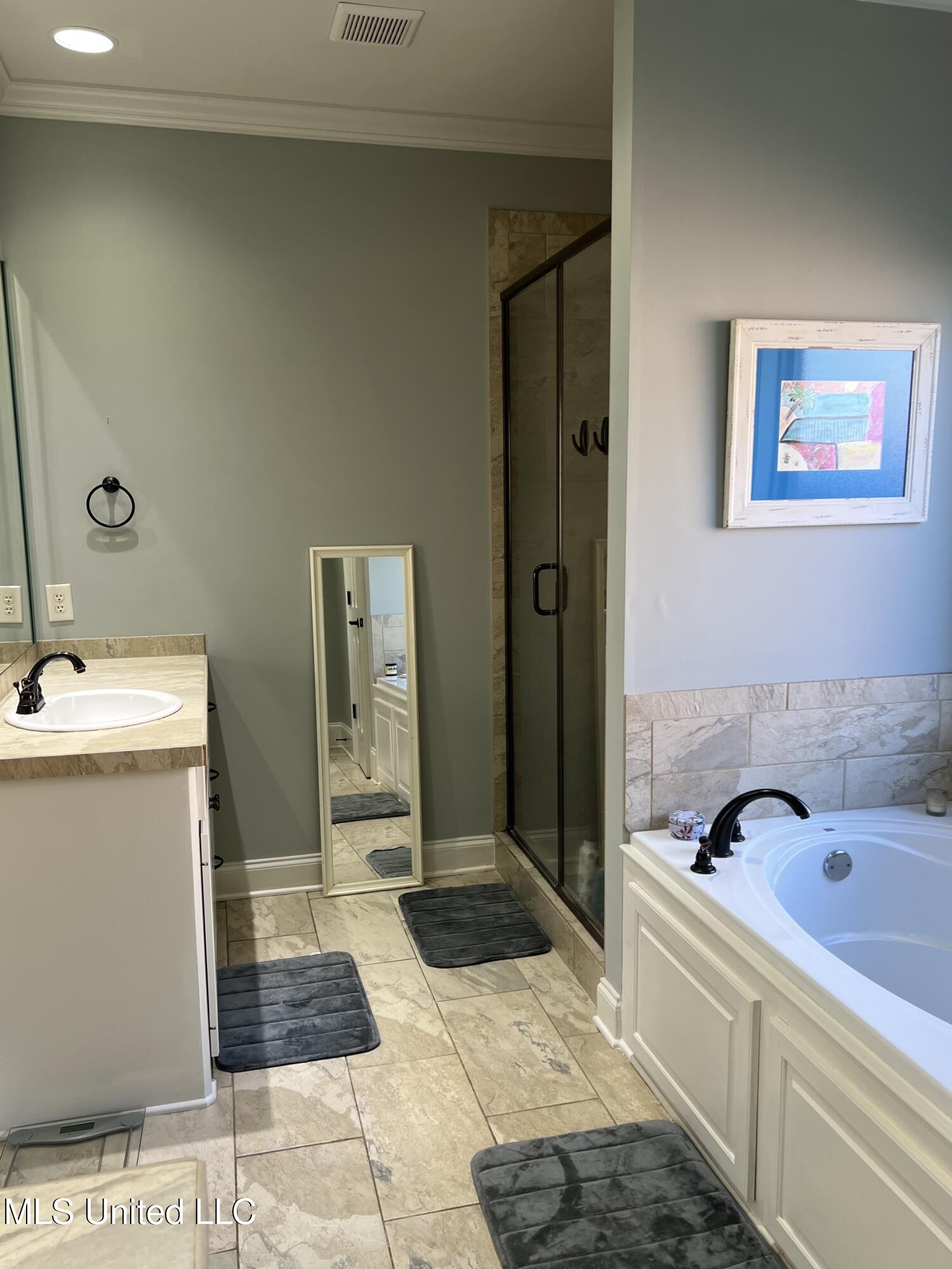 137 Camden Crossing Madison, MS 39110 - Photo 11 of 25 Bathroom