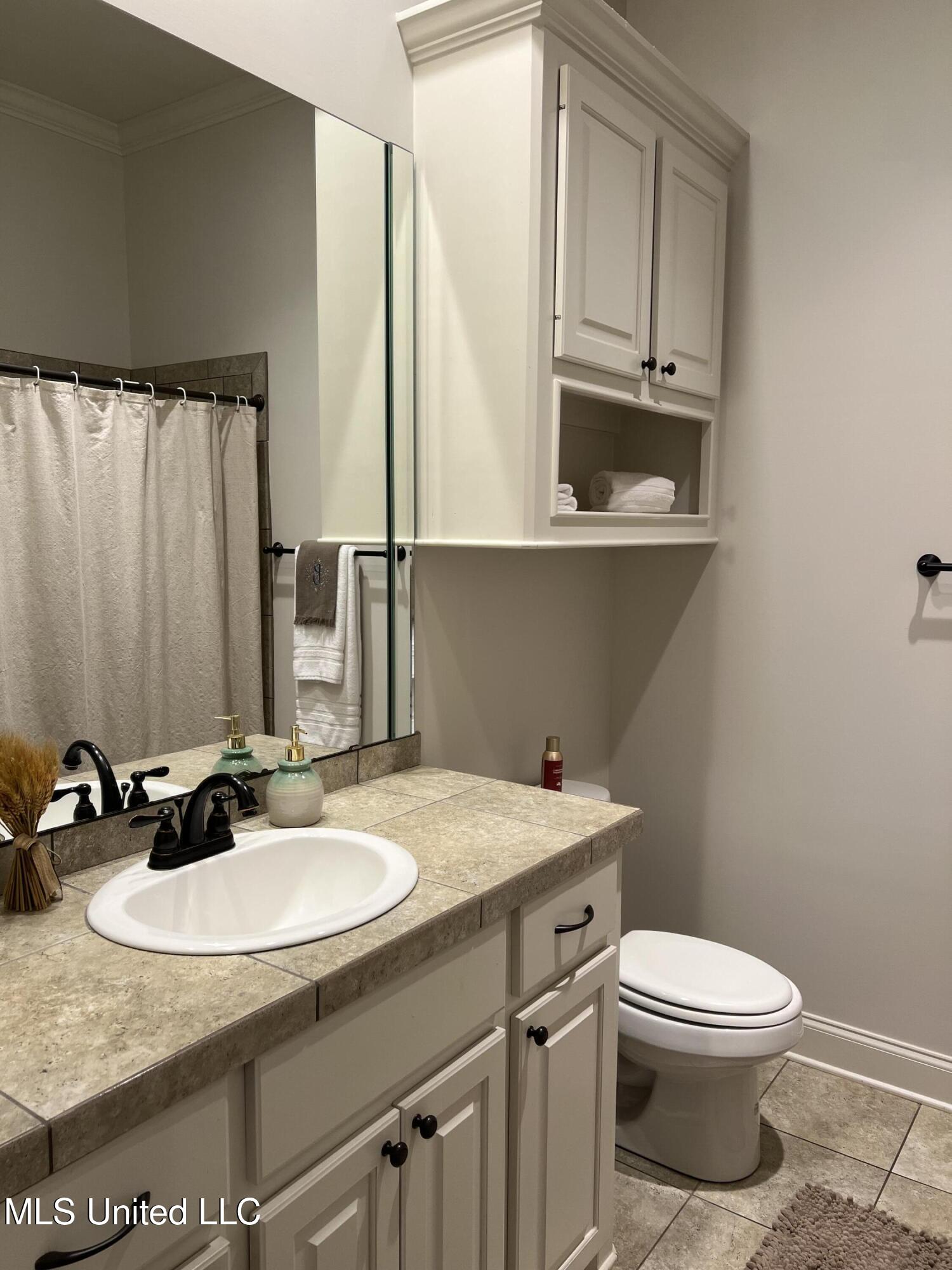 137 Camden Crossing Madison, MS 39110 - Photo 17 of 25 Guest Bathroom