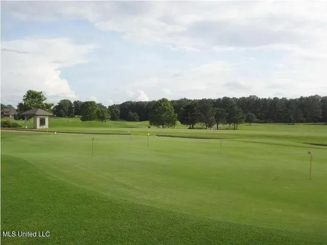 $343,000 | 137 Camden Crossing, Madison, MS 39110