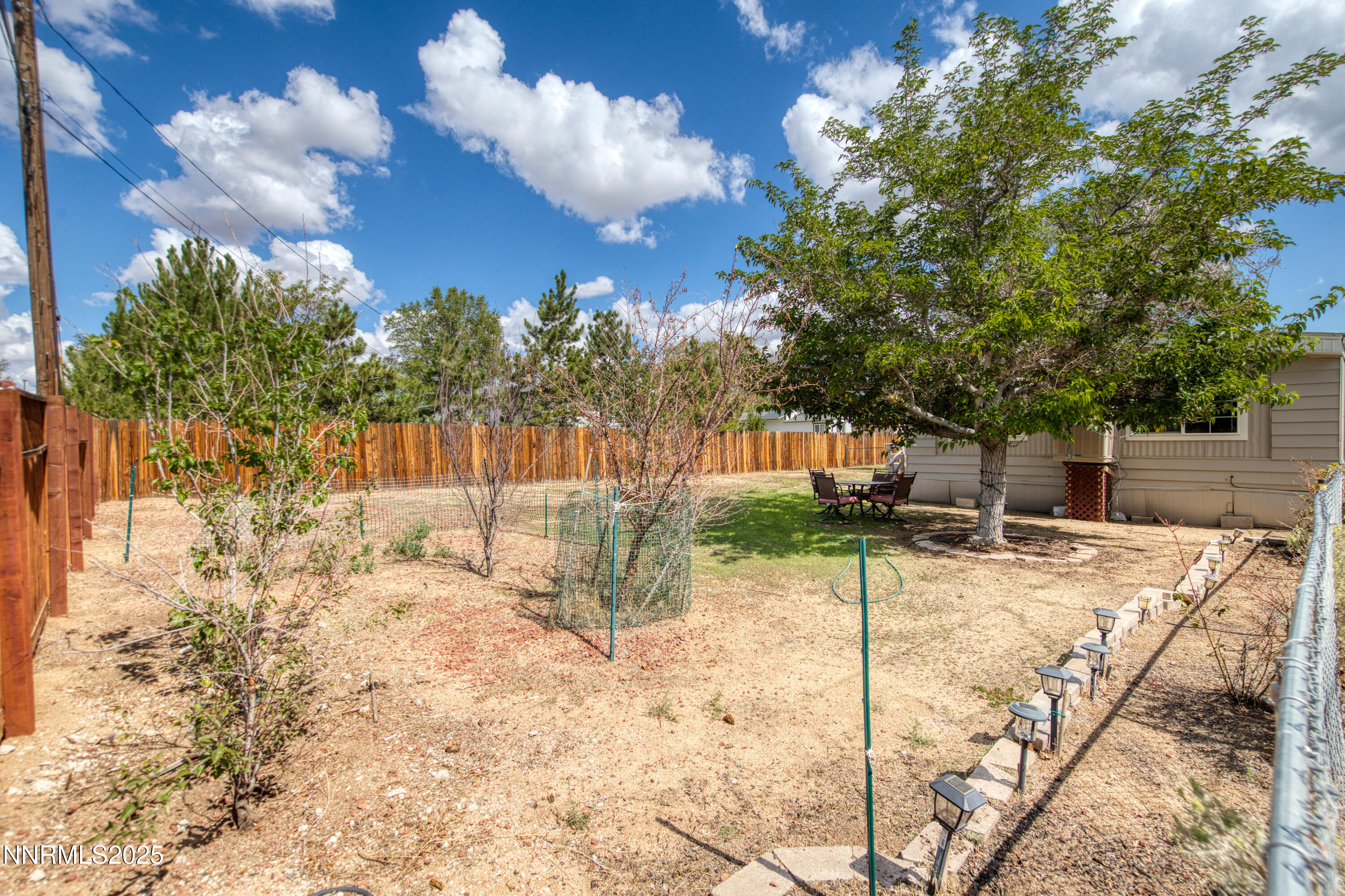 5760 Leon Drive Sun Valley, NV 89433 - Photo 29 of 42 a view of a backyard with a tree