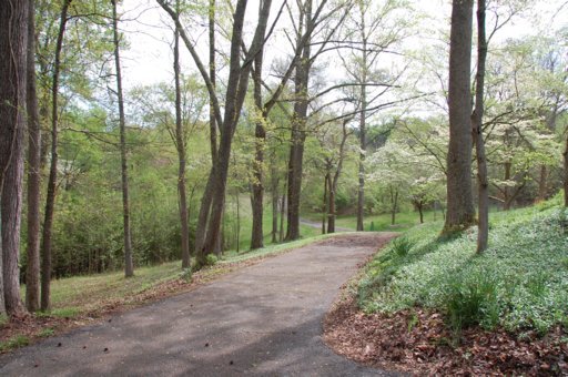 138 Hart Orchard Road Kingston, TN 37763 - Photo 18 of 26 Driveway meanders thru property