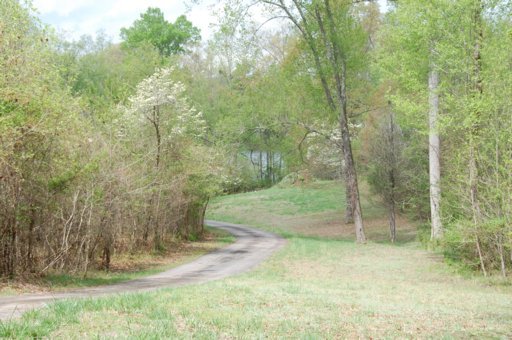 138 Hart Orchard Road Kingston, TN 37763 - Photo 19 of 26 Driveway meanders toward waters edge