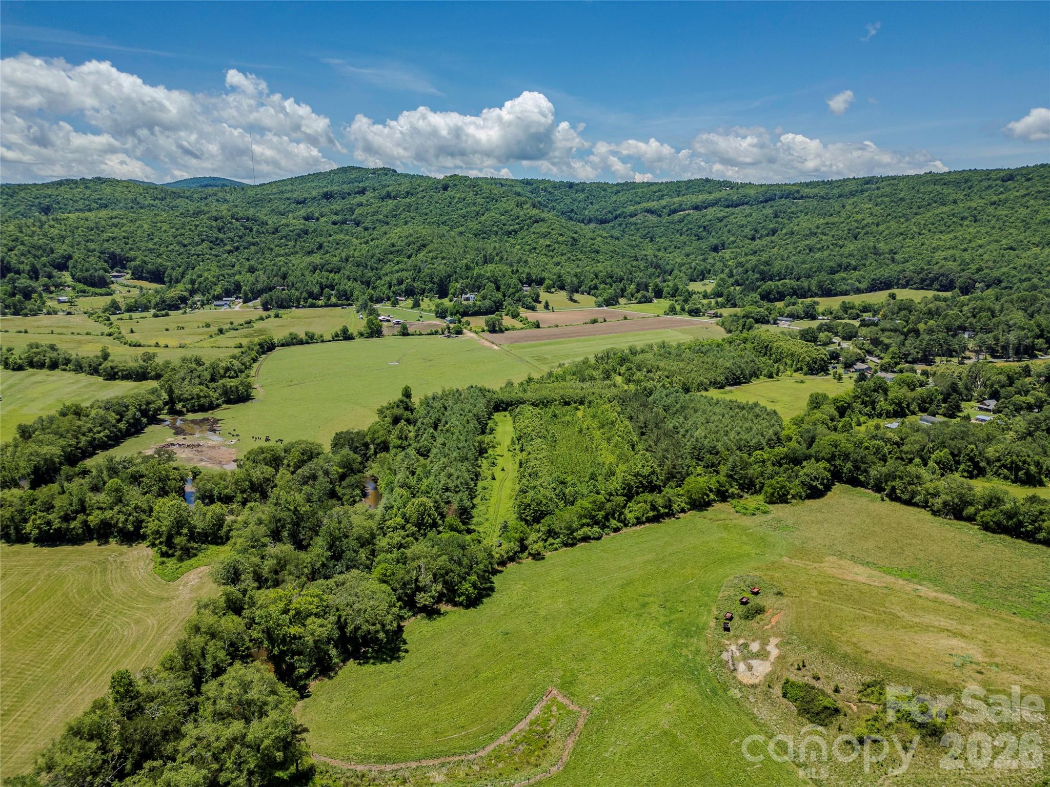 Tbd Canebrake Road Pisgah Forest, NC 28768 - Photo 31 of 43