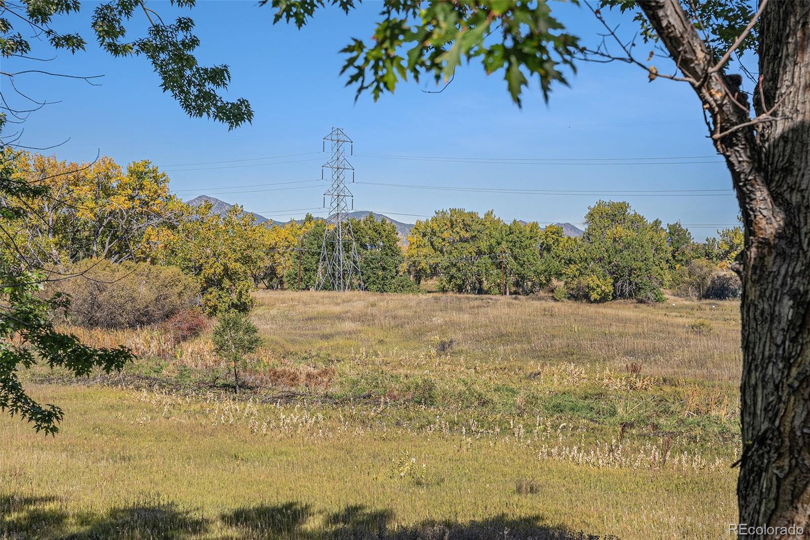 16221 West 56th Place Golden, CO 80403 - Photo 29 of 34