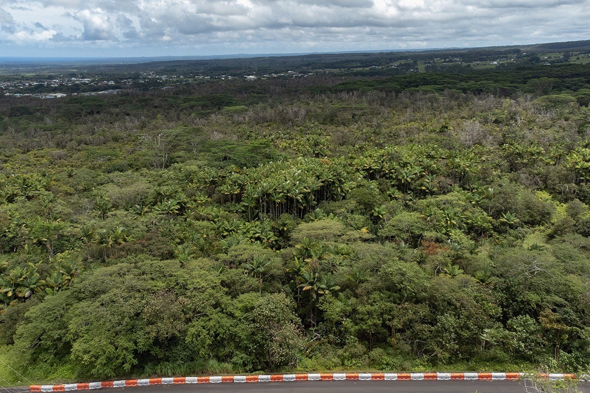 10 B Puainako Extension Hilo, HI 96720 - Photo 3 of 8