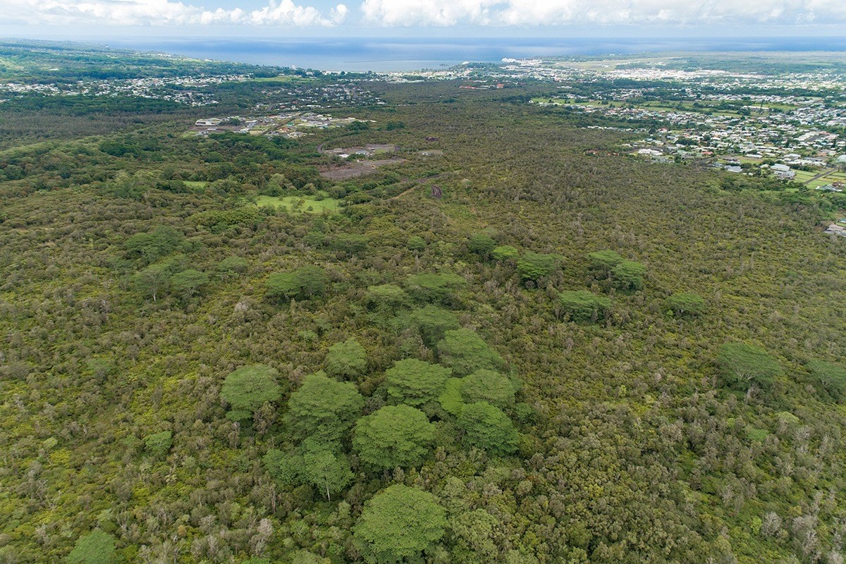 10 B Puainako Extension Hilo, HI 96720 - Photo 5 of 8