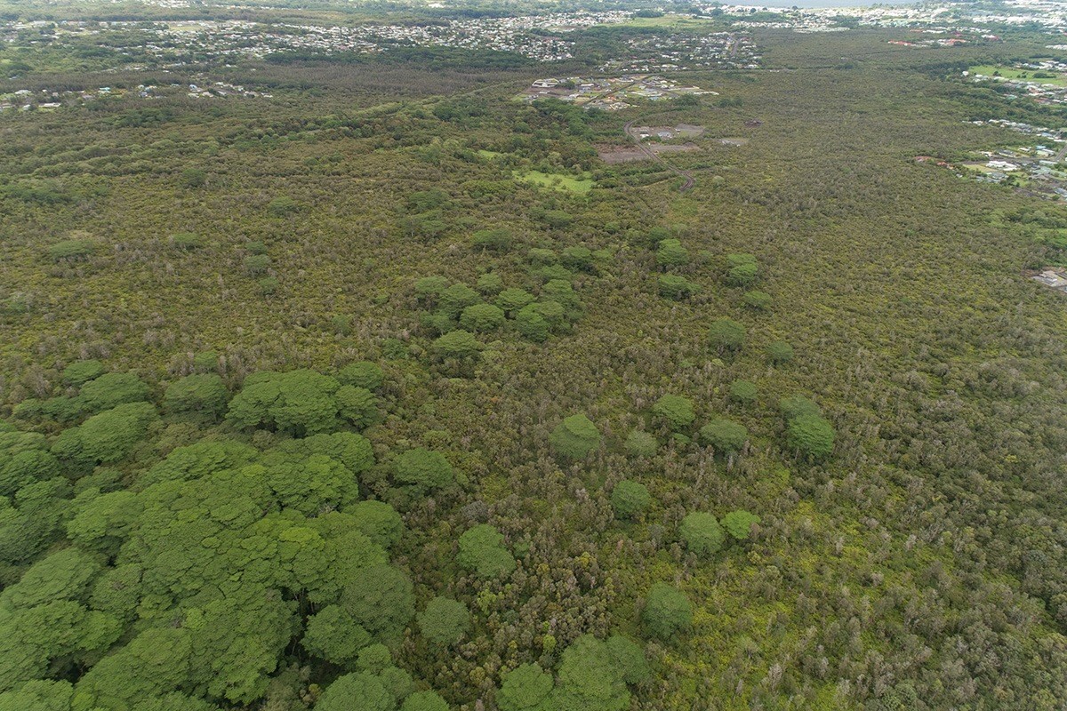 10 B Puainako Extension Hilo, HI 96720 - Photo 7 of 8