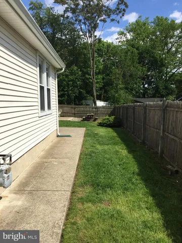 a view of backyard with small cabin
