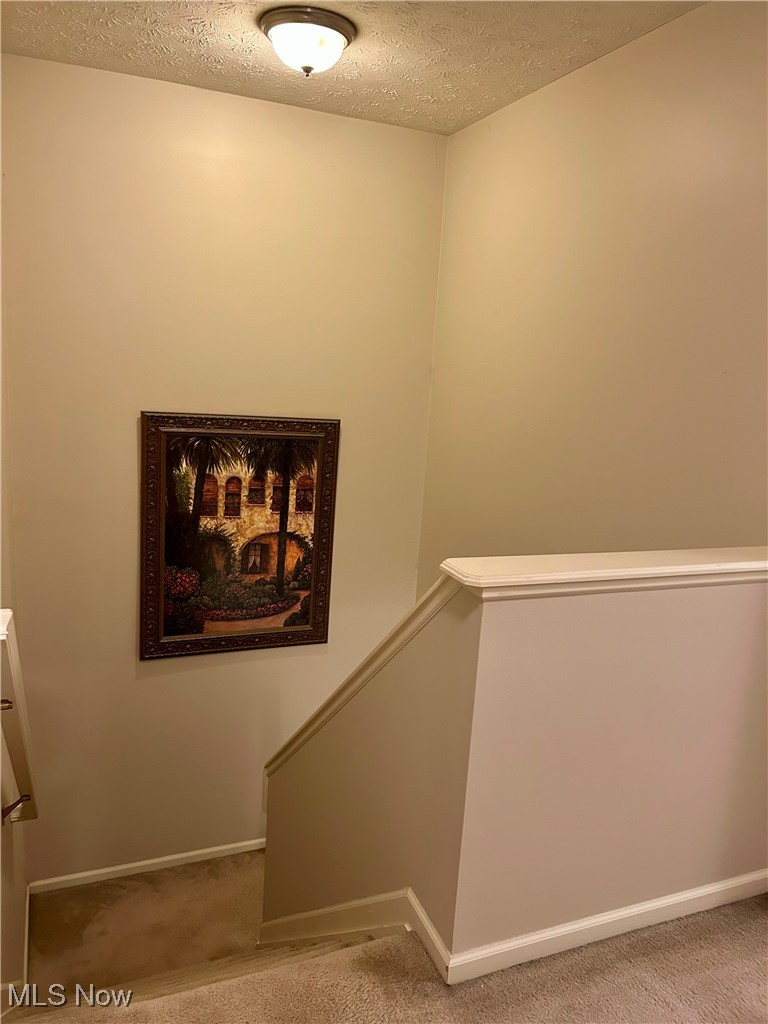 4420 Archer Road Cleveland, OH 44105 - Photo 5 of 18 Staircase leading upstairs featuring carpet floors and a textured ceiling