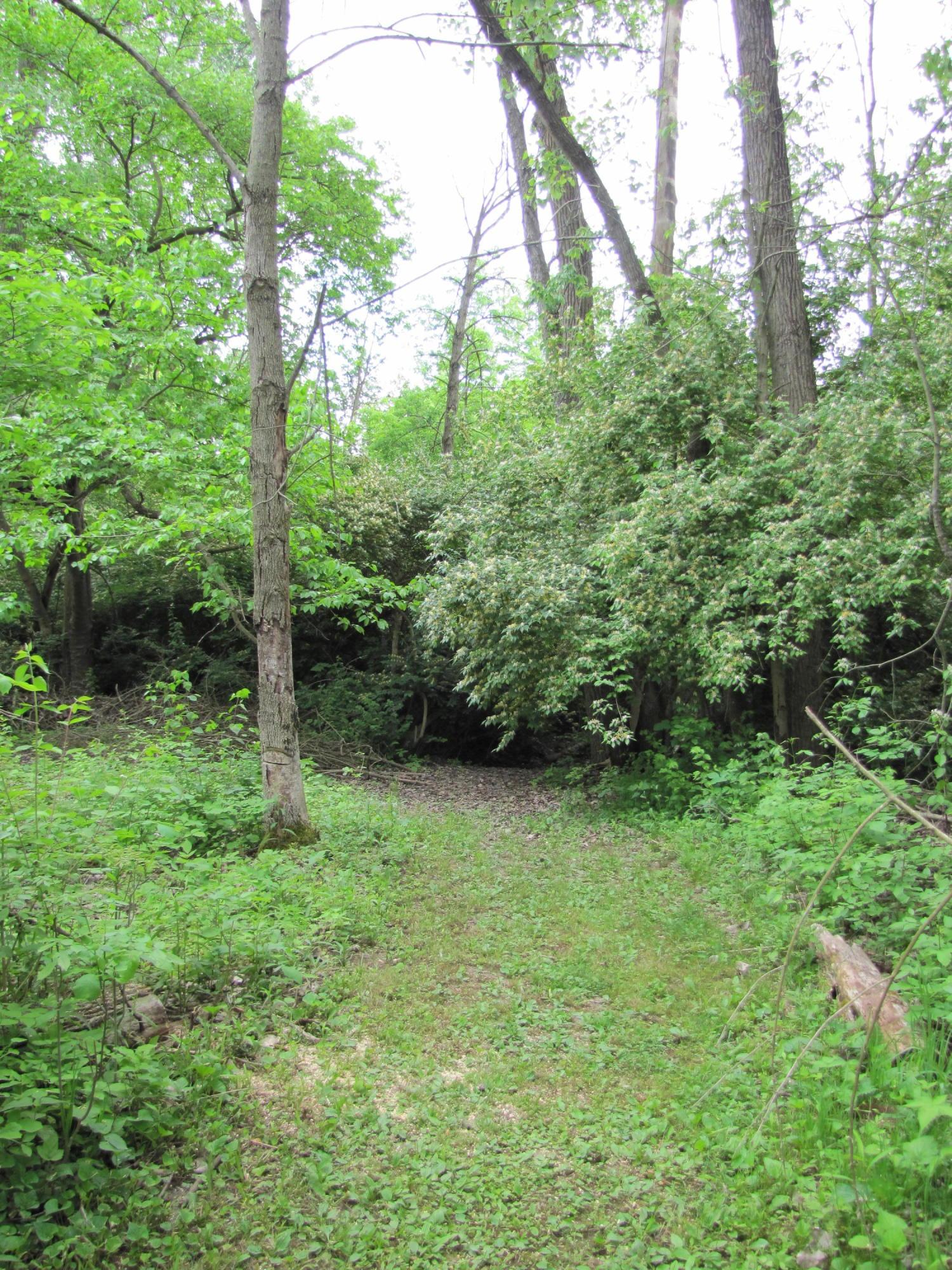 7655 Brush Lake Road Cable, OH 43009 - Photo 38 of 49