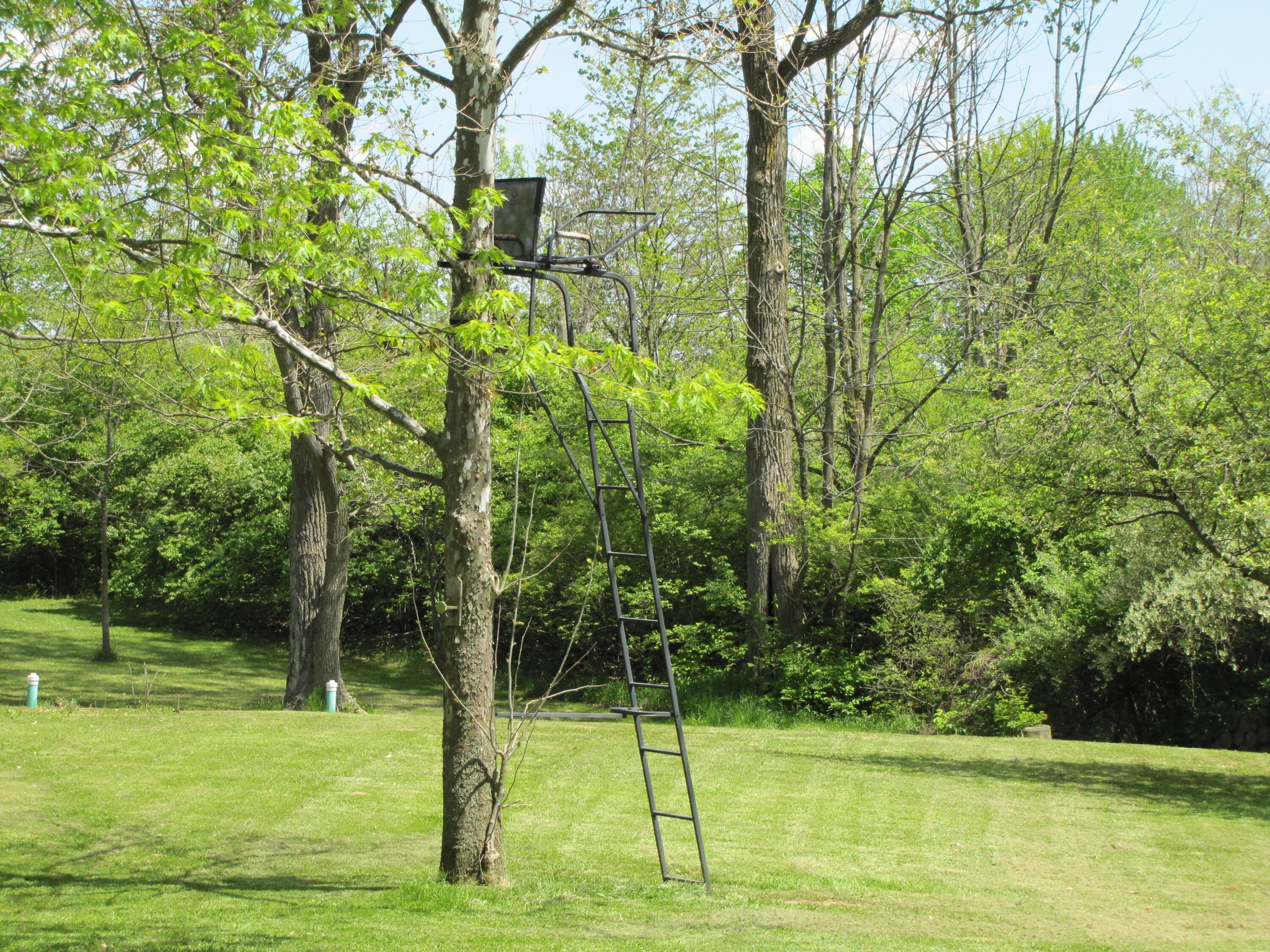 7655 Brush Lake Road Cable, OH 43009 - Photo 42 of 49