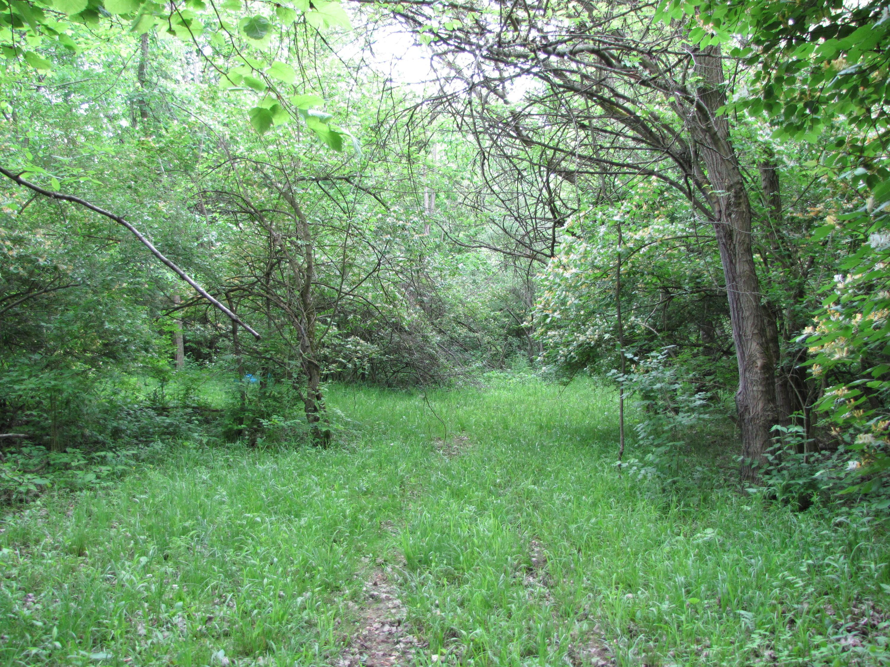 7655 Brush Lake Road Cable, OH 43009 - Photo 45 of 49