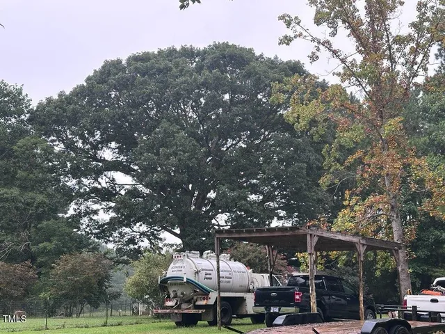 a view of a park with large trees