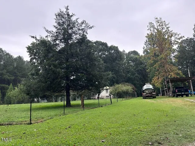 a view of a park with large trees