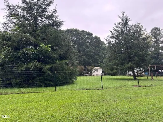 a view of a field with a tree in the background