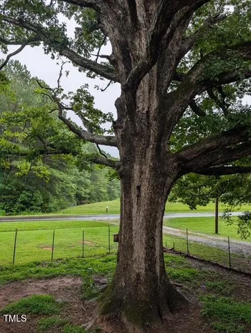a view of a green yard