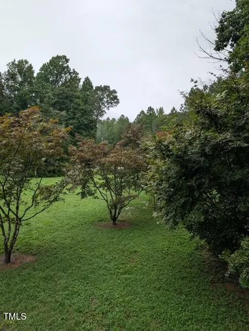 a view of a yard with a tree