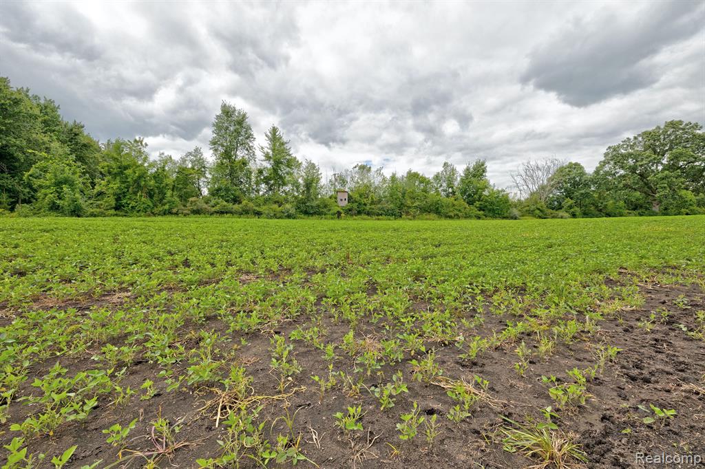 8910 Petz Road Imlay City, MI 48444 - Photo 43 of 62