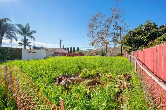 a garden with trees in front of it