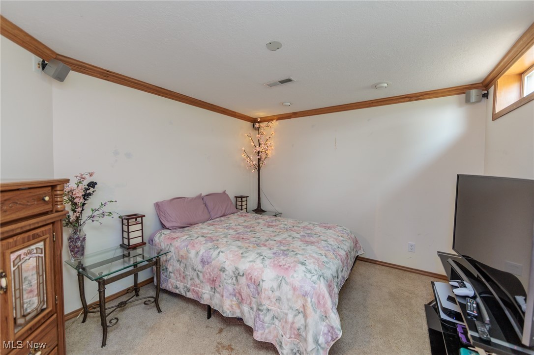 4632 West Britton Road Burbank, OH 44214 - Photo 31 of 49 Gallery Image 31