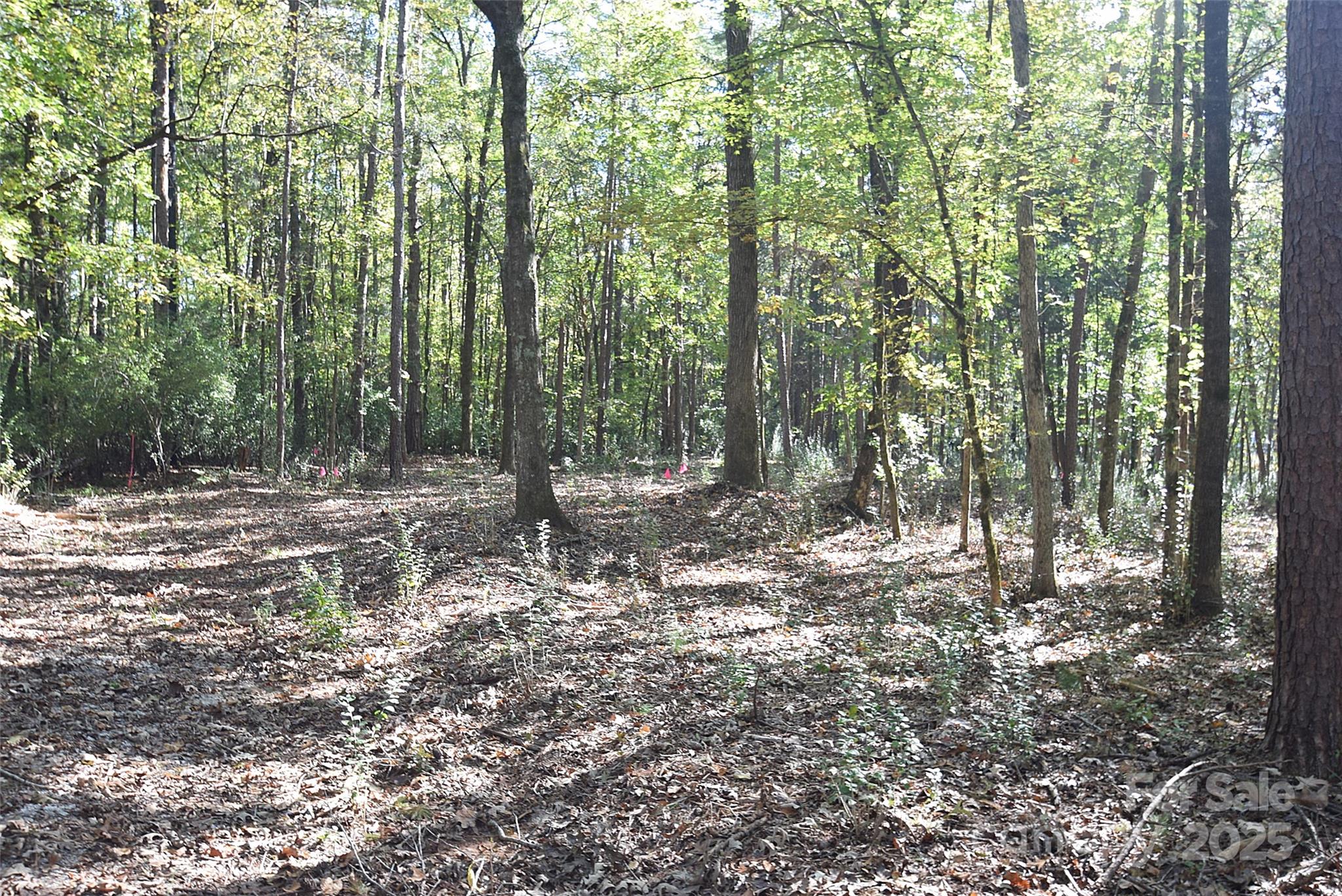 0 McElroy Road, Unit 168 Waxhaw, NC 28173 - Photo 12 of 32 a view of forest