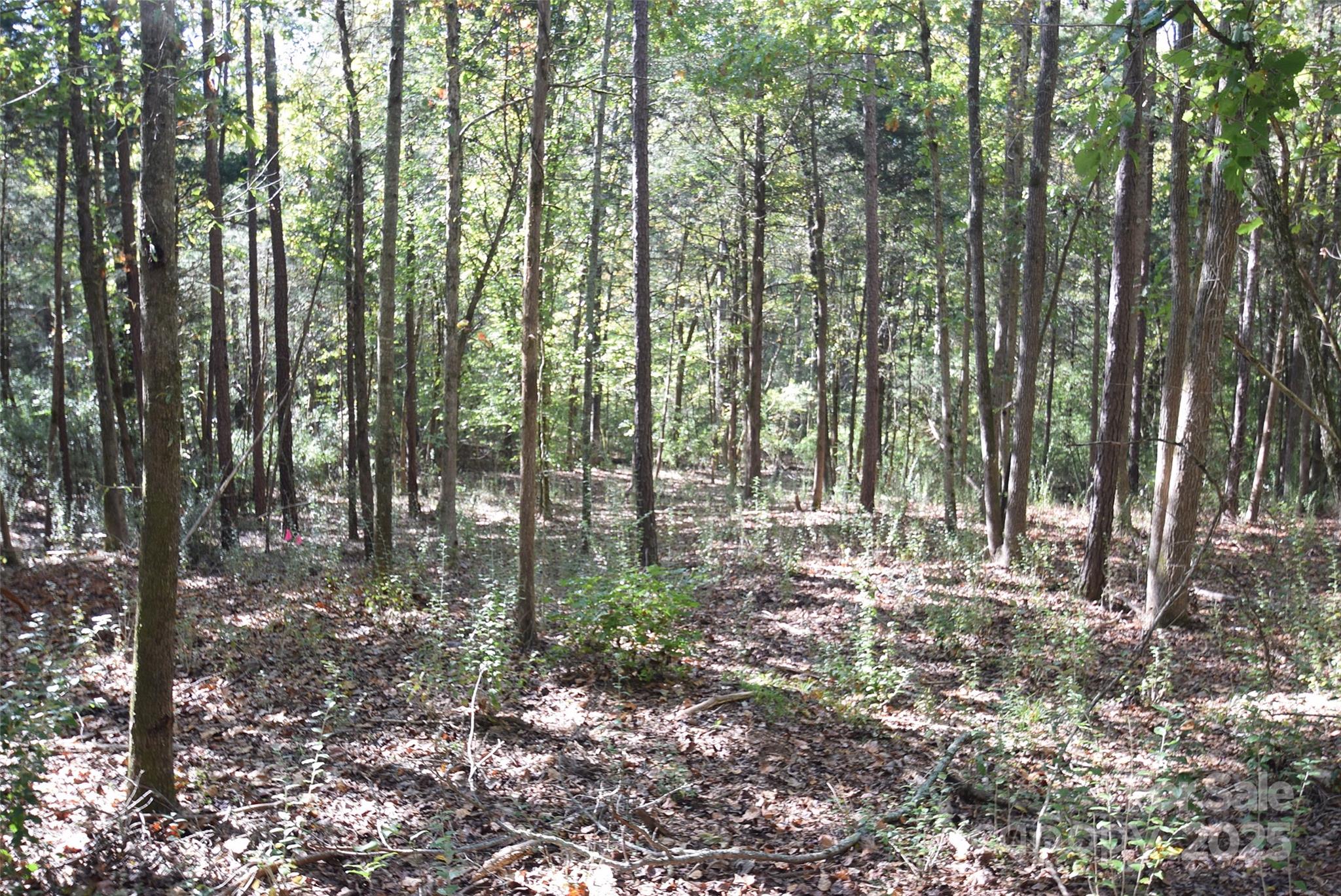 0 McElroy Road, Unit 168 Waxhaw, NC 28173 - Photo 13 of 32 a view of outdoor space and trees