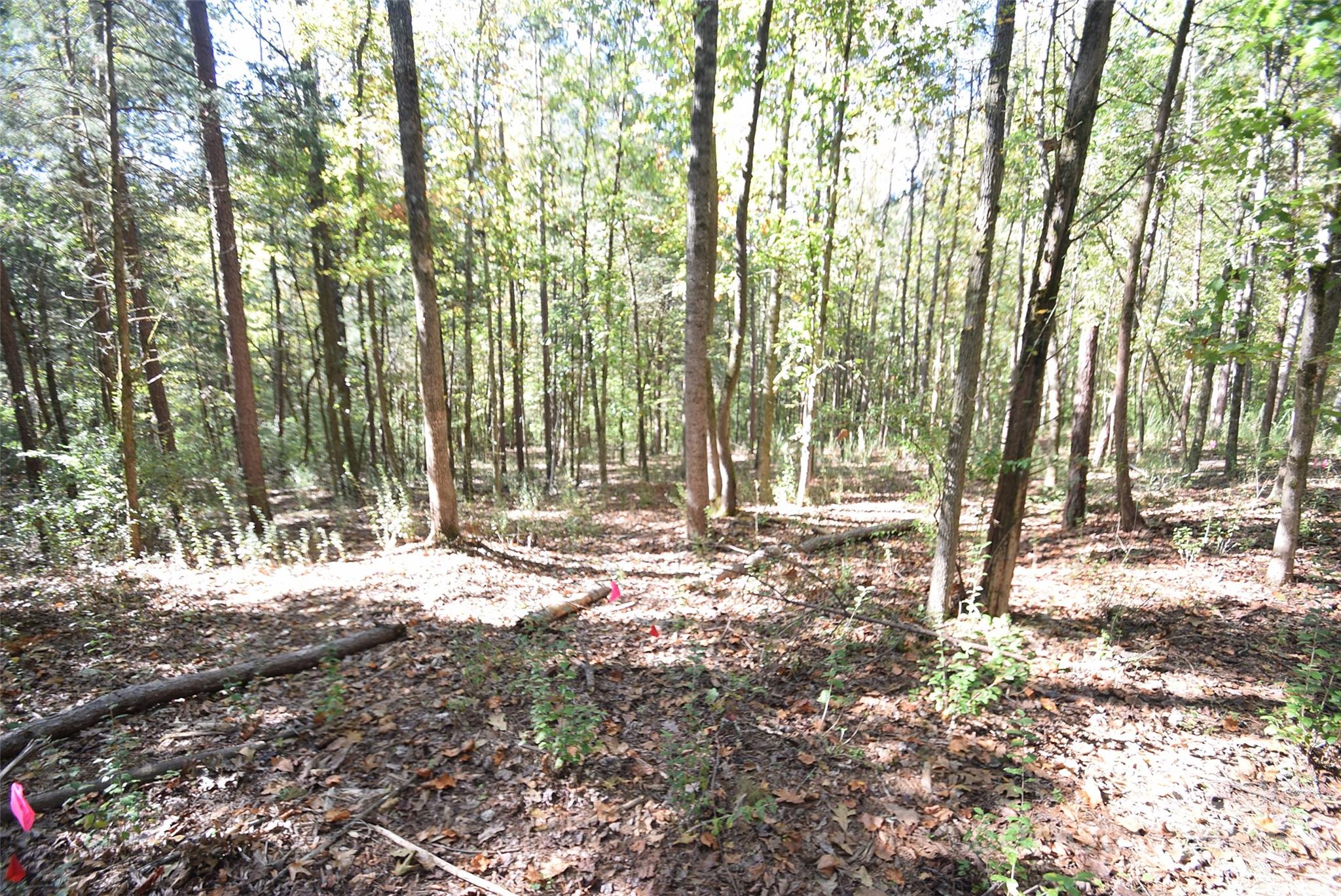 0 McElroy Road, Unit 168 Waxhaw, NC 28173 - Photo 14 of 32 a view of outdoor space with trees