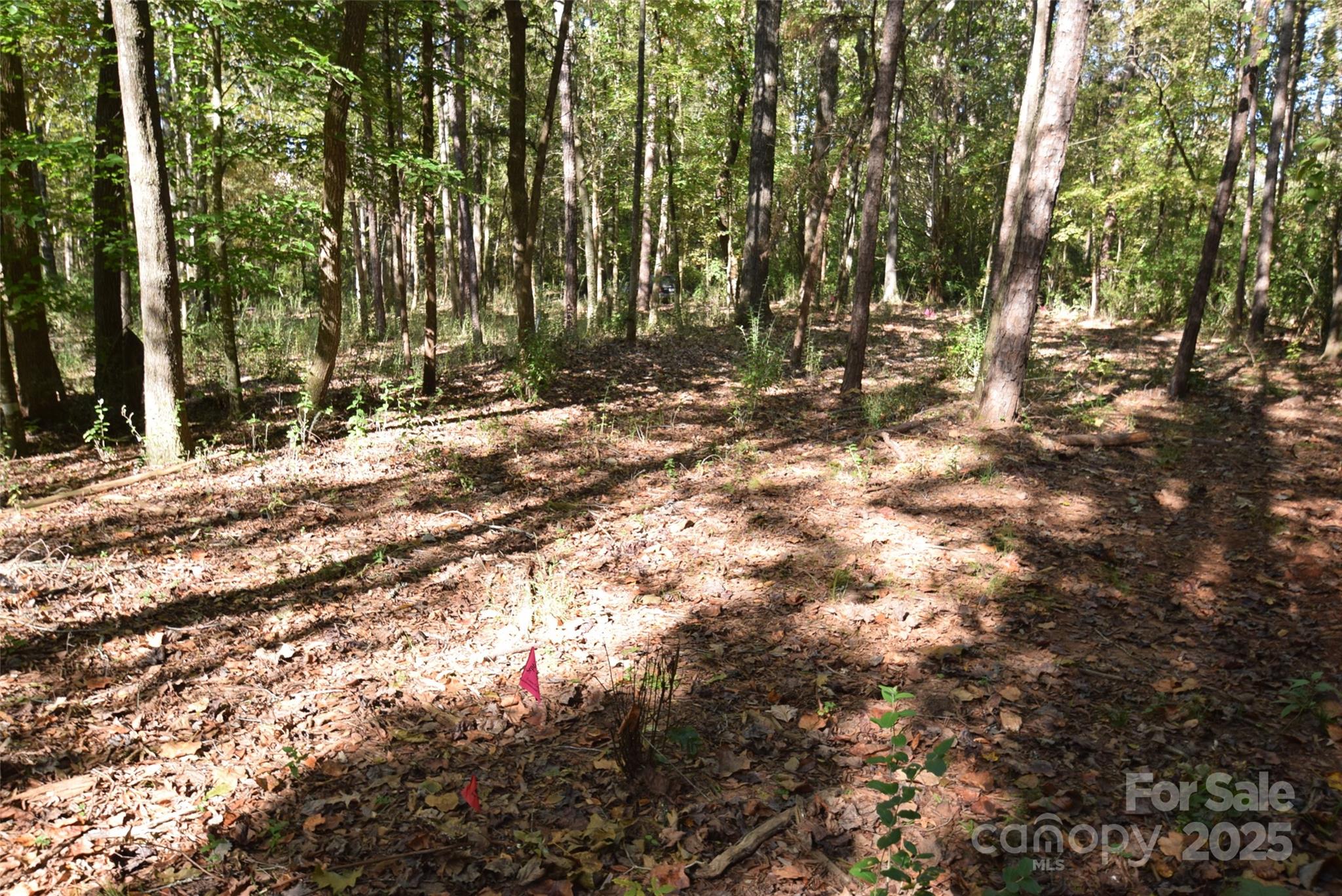 0 McElroy Road, Unit 168 Waxhaw, NC 28173 - Photo 15 of 32 a view of outdoor space with trees