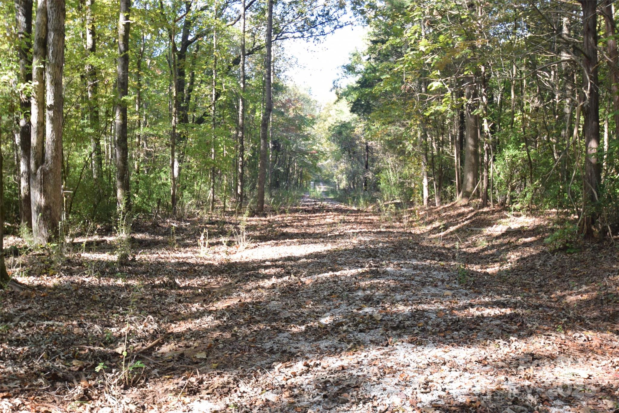 0 McElroy Road, Unit 168 Waxhaw, NC 28173 - Photo 18 of 32 a view of outdoor space with trees