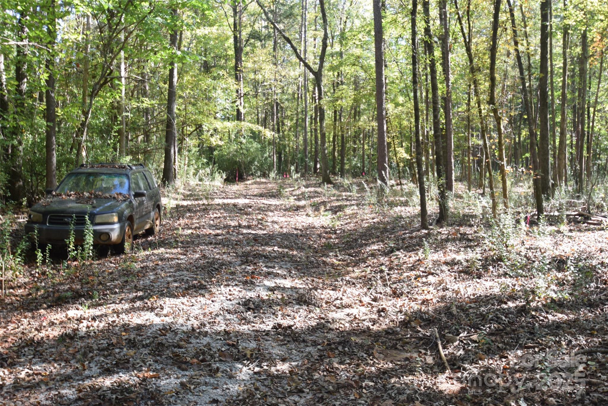 0 McElroy Road, Unit 168 Waxhaw, NC 28173 - Photo 19 of 32 a view of outdoor space with trees