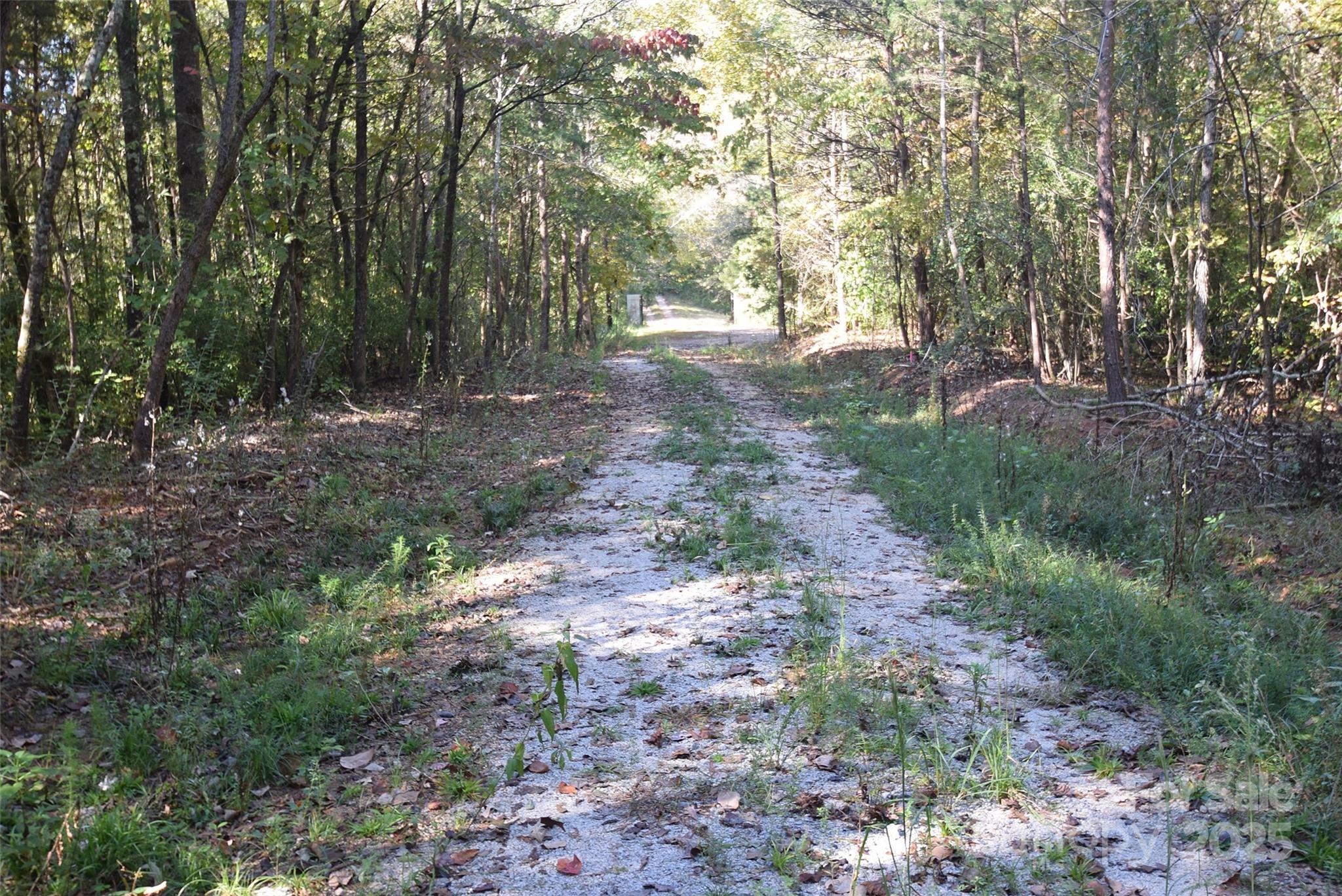 0 McElroy Road, Unit 168 Waxhaw, NC 28173 - Photo 20 of 32 a view of a yard with plants and trees