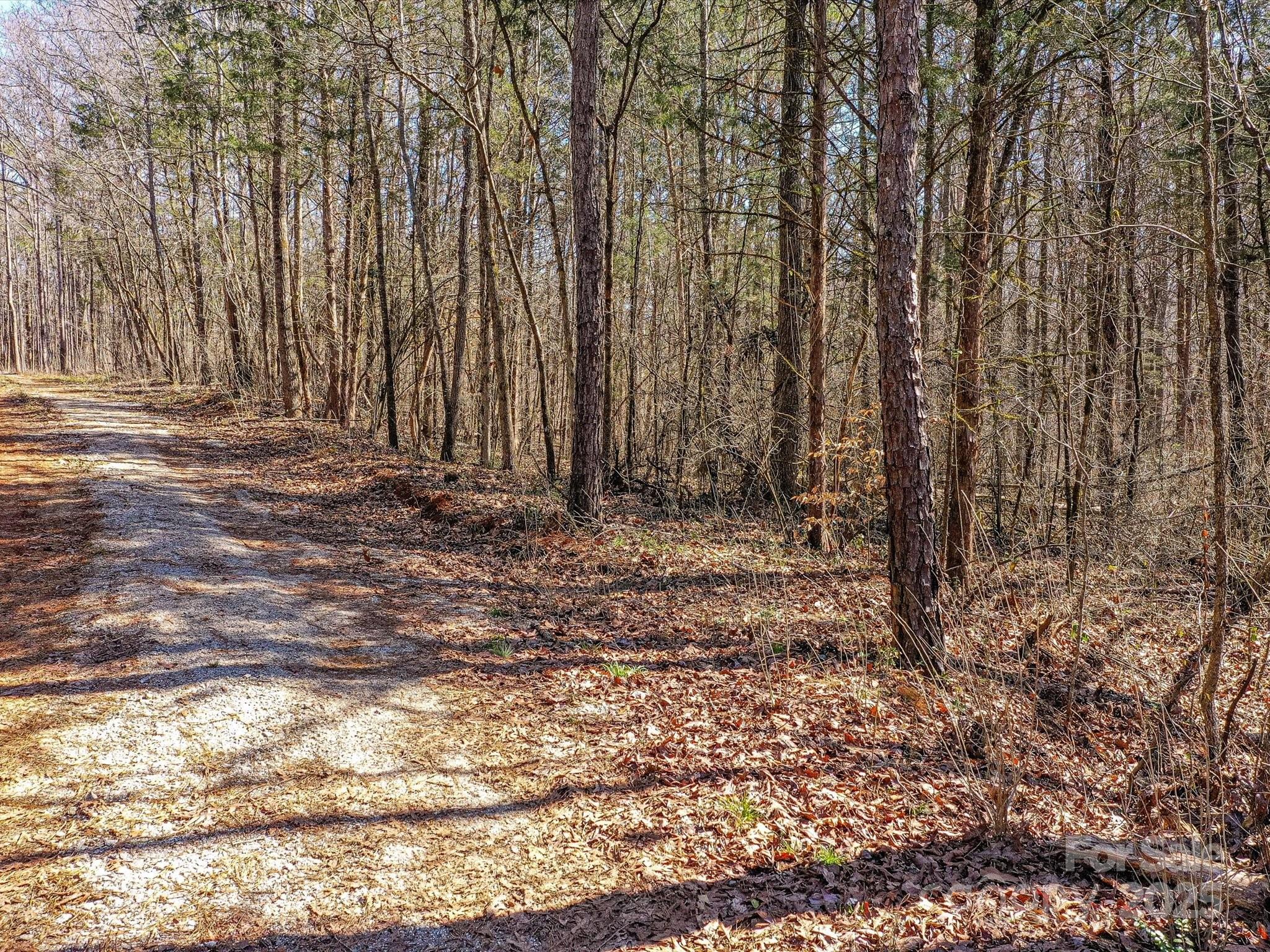 0 McElroy Road, Unit 168 Waxhaw, NC 28173 - Photo 5 of 32 a view of room with trees