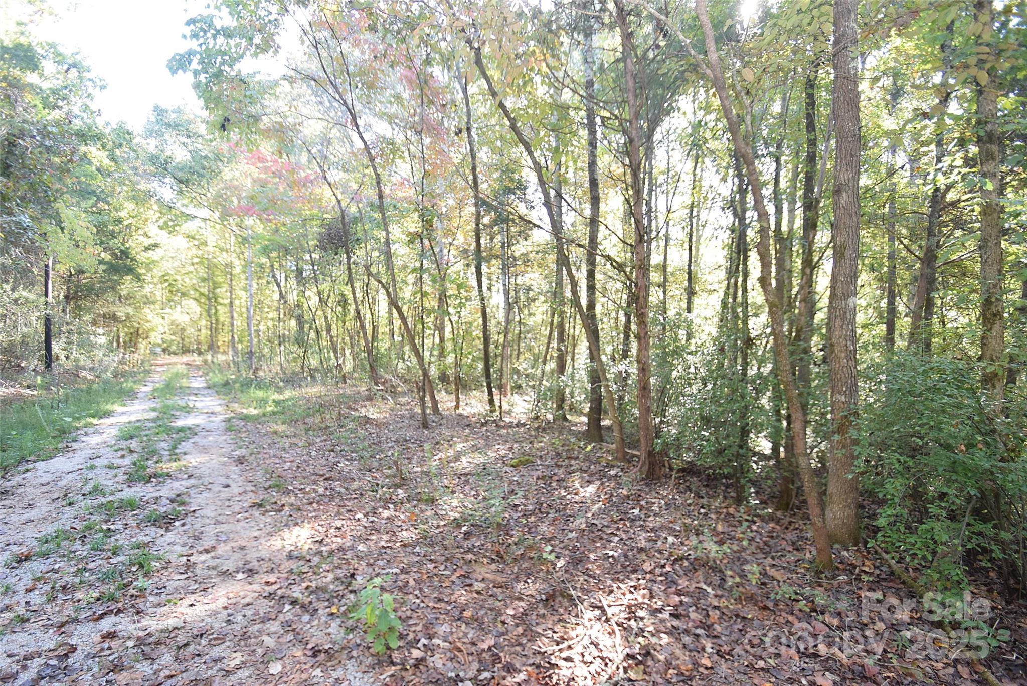 0 McElroy Road, Unit 168 Waxhaw, NC 28173 - Photo 6 of 32 a view of outdoor space and trees