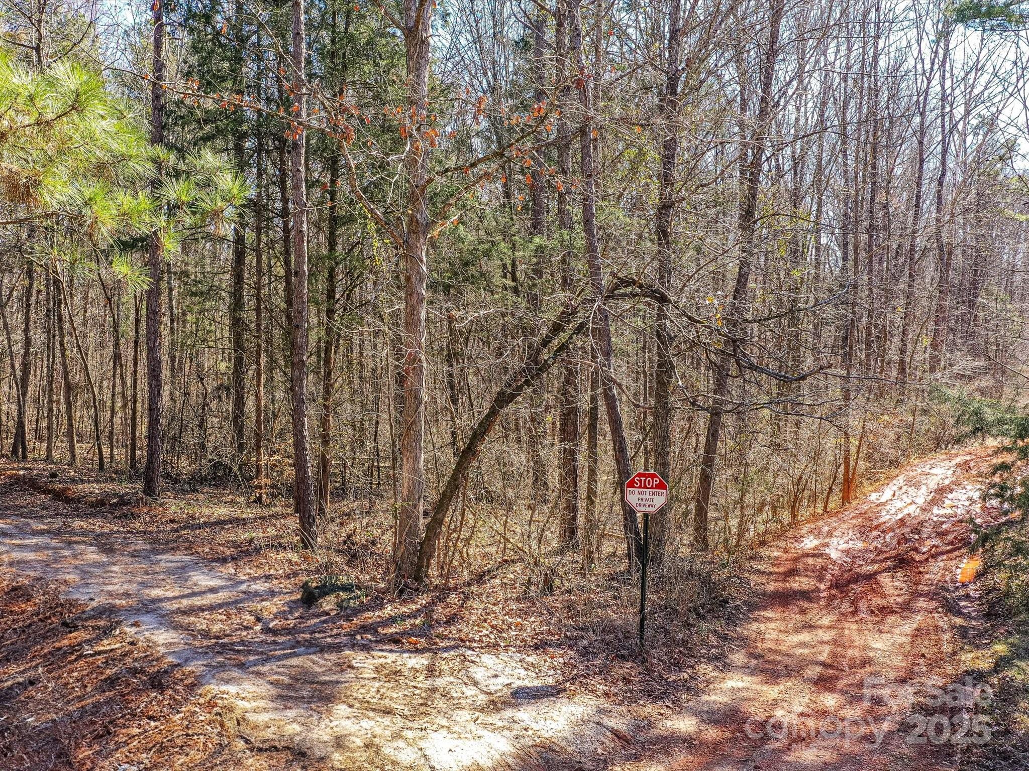 0 McElroy Road, Unit 168 Waxhaw, NC 28173 - Photo 8 of 32 a view of a yard with large trees