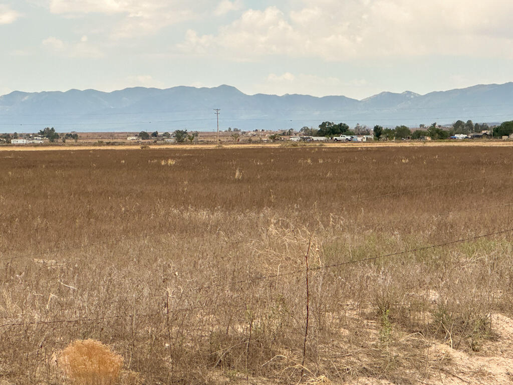 Ice Plant Road McIntosh, NM 87032 - Photo 1 of 24 Gallery Image 1