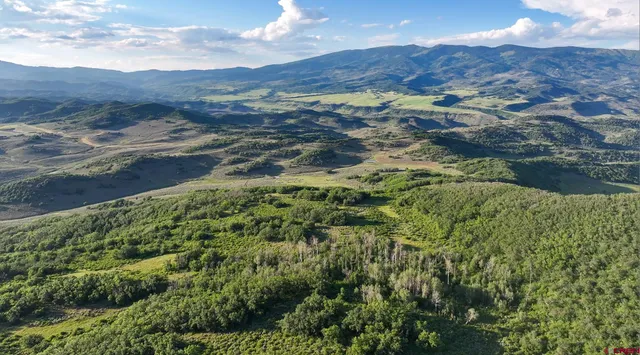 a view of a lush green hillside and houses