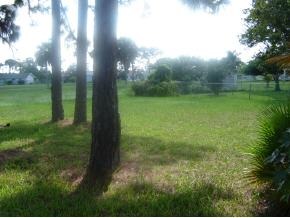 1545 Creel Road Northeast Palm Bay, FL 32905 - Photo 5 of 10 Additional Photo