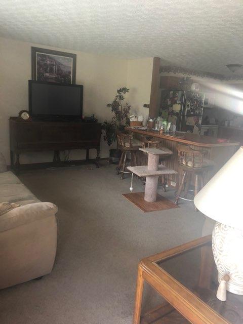 14653 Smart-Cole Road Ostrander, OH 43061 - Photo 4 of 22