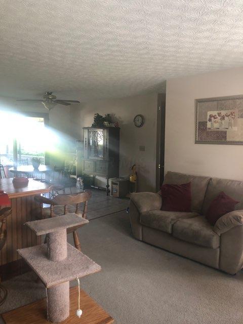 14653 Smart-Cole Road Ostrander, OH 43061 - Photo 10 of 22